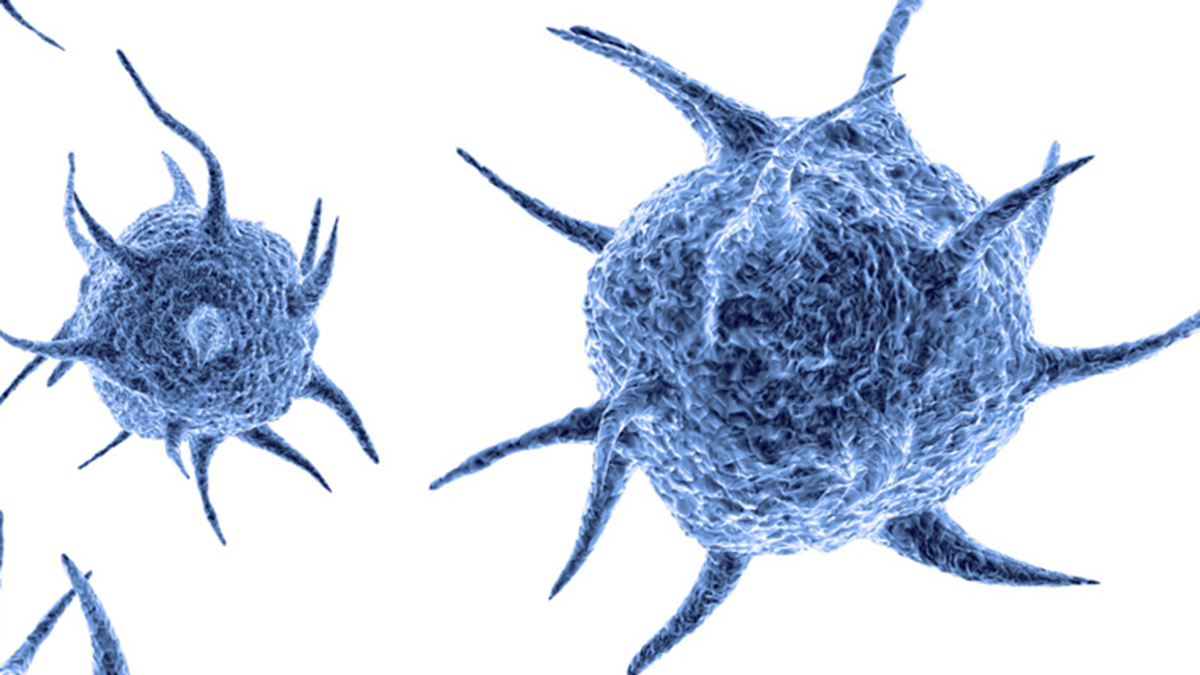 Editor's choice infectious disease (Gates Foundation)