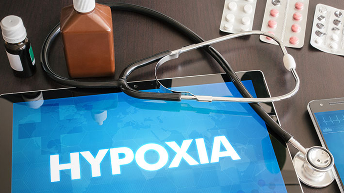 Special Feature: Updated Reviews on Hypoxia
